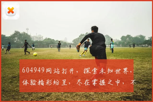 604949网站打开，探索未知世界，体验精彩纷呈，尽在掌握之中，不容错过