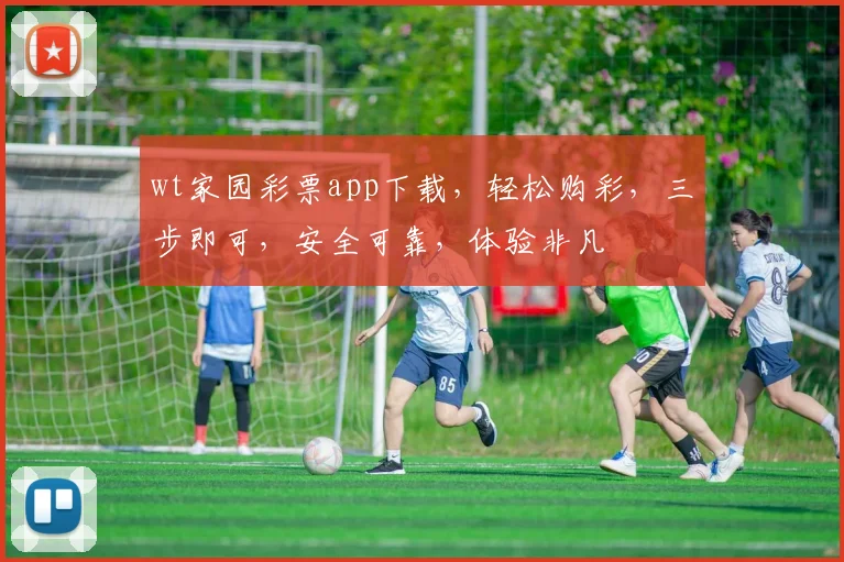 wt家园彩票app下载，轻松购彩，三步即可，安全可靠，体验非凡